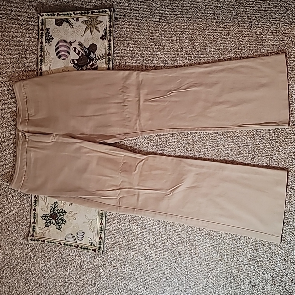 Gently loved woman's size 10 Pants by Jessica sport Tan and color With stretch